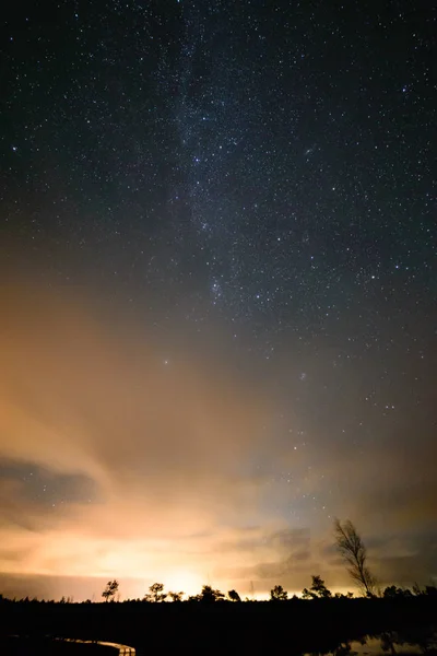 Colorida galaxia de la Vía Láctea vista en el cielo nocturno sobre árboles — Foto de Stock