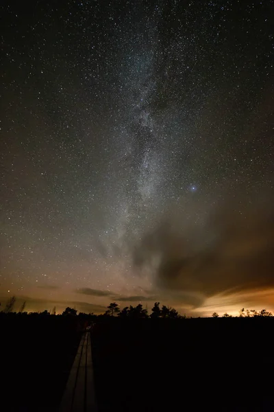 Gece gökyüzünde ağaçların üzerinden görülen renkli Samanyolu Gökadası — Stok fotoğraf
