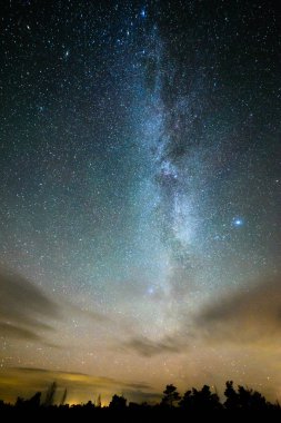 gece gökyüzünde ağaçların üzerinden görülen renkli Samanyolu Gökadası
