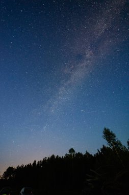 gece gökyüzünde ağaçların üzerinden görülen renkli Samanyolu Gökadası