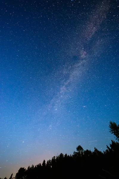 Colorida galaxia de la Vía Láctea vista en el cielo nocturno sobre árboles — Foto de Stock