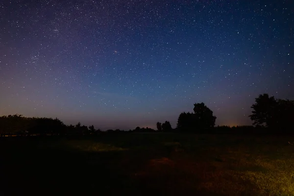 Colorida galaxia de la Vía Láctea vista en el cielo nocturno sobre árboles — Foto de Stock