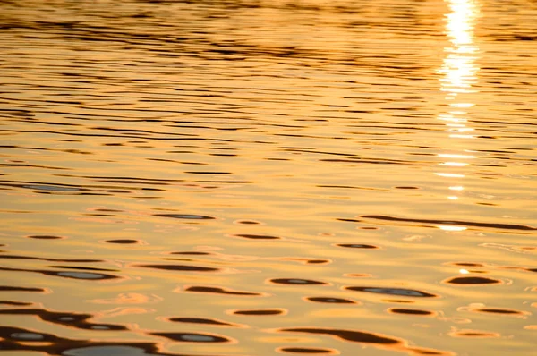 Reflexões na água calma do lago — Fotografia de Stock