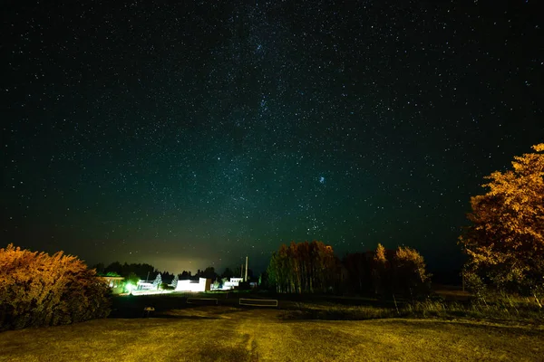 다채로운 은하계 검은 나무를 통해 밤 하늘에서 본 — 스톡 사진