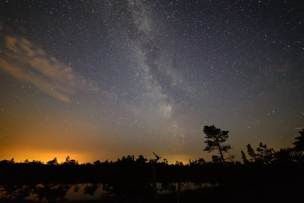 Galáxia forma leitosa colorido visto no céu noturno sobre árvores — Fotografia de Stock