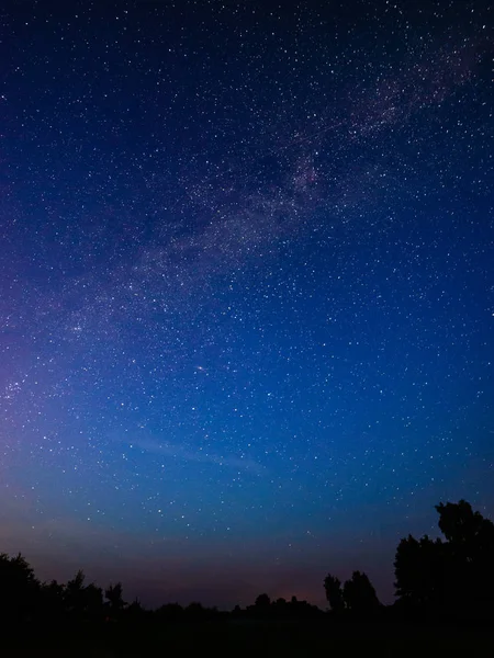 Colorida galaxia de la Vía Láctea vista en el cielo nocturno sobre árboles — Foto de Stock