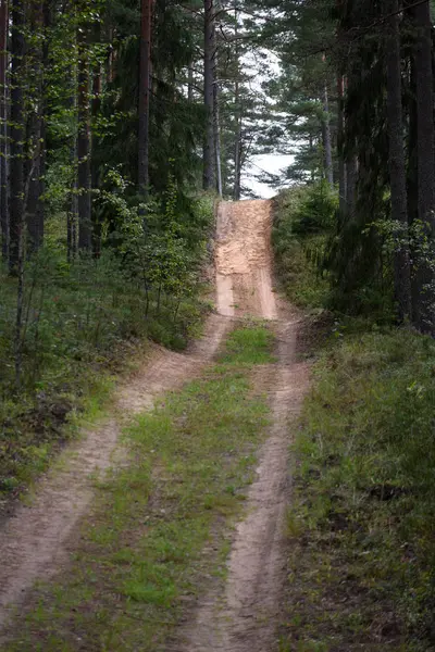 Camino del campo en el bosque — Foto de Stock