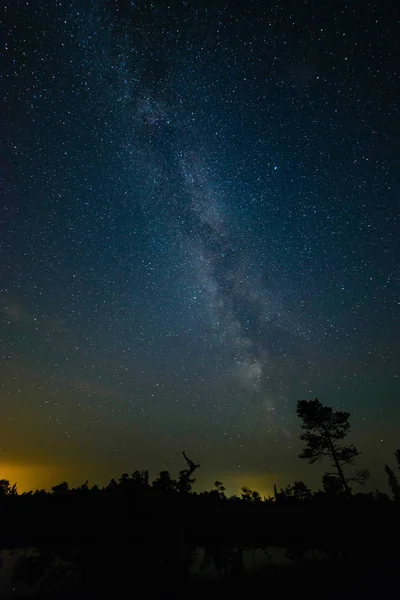 Galáxia forma leitosa colorido visto no céu noturno sobre árvores — Fotografia de Stock