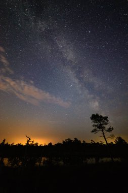 gece gökyüzünde ağaçların üzerinden görülen renkli Samanyolu Gökadası