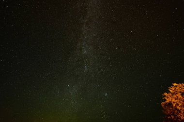 gece gökyüzünde ağaçların üzerinden görülen renkli Samanyolu Gökadası