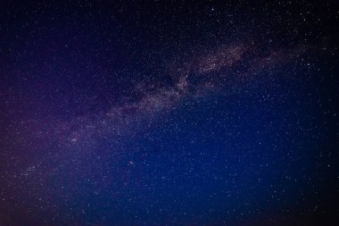 gece gökyüzünde ağaçların üzerinden görülen renkli Samanyolu Gökadası