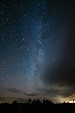 gece gökyüzünde ağaçların üzerinden görülen renkli Samanyolu Gökadası