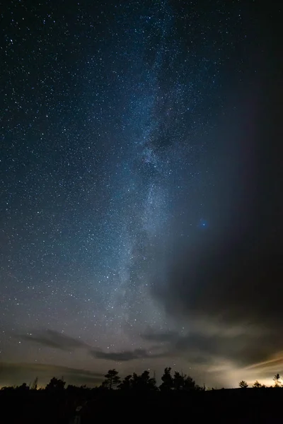 gece gökyüzünde ağaçların üzerinden görülen renkli Samanyolu Gökadası