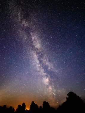 gece gökyüzünde ağaçların üzerinden görülen renkli Samanyolu Gökadası