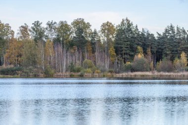 sonbahar renkli ağaçlar yansımaları WA ile göl kıyısında