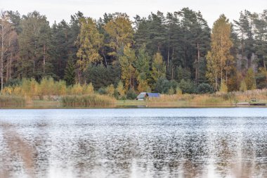 sonbahar renkli ağaçlar yansımaları WA ile göl kıyısında