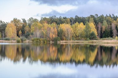 sonbahar renkli ağaçlar yansımaları WA ile göl kıyısında