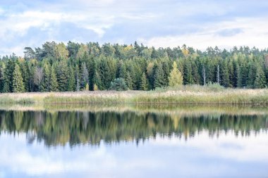 sonbahar renkli ağaçlar yansımaları WA ile göl kıyısında