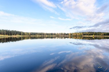 sonbahar renkli ağaçlar yansımaları WA ile göl kıyısında
