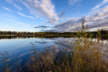 sonbahar renkli ağaçlar yansımaları WA ile göl kıyısında