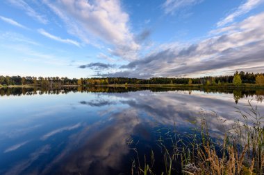 sonbahar renkli ağaçlar yansımaları WA ile göl kıyısında