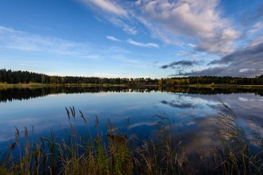 sonbahar renkli ağaçlar yansımaları WA ile göl kıyısında