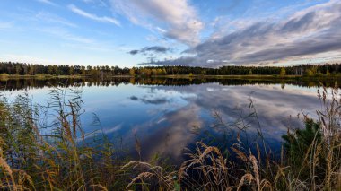 sonbahar renkli ağaçlar yansımaları WA ile göl kıyısında