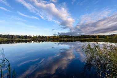 sonbahar renkli ağaçlar yansımaları WA ile göl kıyısında