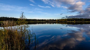 sonbahar renkli ağaçlar yansımaları WA ile göl kıyısında
