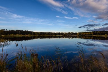 sonbahar renkli ağaçlar yansımaları WA ile göl kıyısında