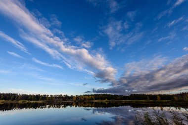 sonbahar renkli ağaçlar yansımaları WA ile göl kıyısında
