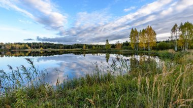sonbahar renkli ağaçlar yansımaları WA ile göl kıyısında