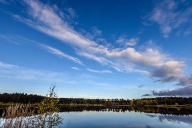 sonbahar renkli ağaçlar yansımaları WA ile göl kıyısında