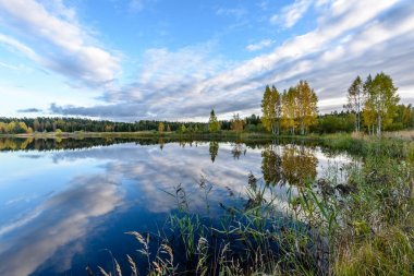 sonbahar renkli ağaçlar yansımaları WA ile göl kıyısında