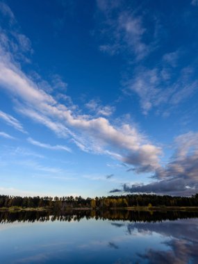 sonbahar renkli ağaçlar yansımaları WA ile göl kıyısında