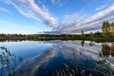 sonbahar renkli ağaçlar yansımaları WA ile göl kıyısında