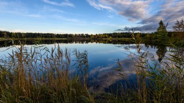 sonbahar renkli ağaçlar yansımaları WA ile göl kıyısında