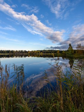 sonbahar renkli ağaçlar yansımaları WA ile göl kıyısında