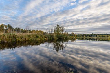 sonbahar renkli ağaçlar yansımaları WA ile göl kıyısında