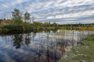 sonbahar renkli ağaçlar yansımaları WA ile göl kıyısında
