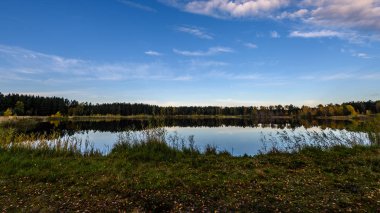 sonbahar renkli ağaçlar yansımaları WA ile göl kıyısında