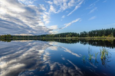 sonbahar renkli ağaçlar yansımaları WA ile göl kıyısında
