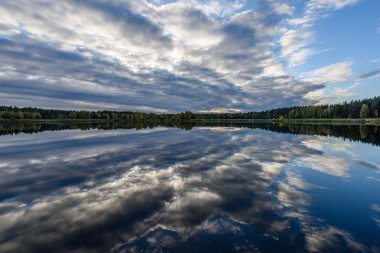 sonbahar renkli ağaçlar yansımaları WA ile göl kıyısında