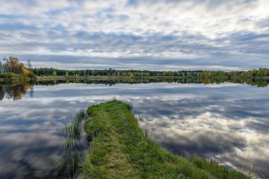 sonbahar renkli ağaçlar yansımaları WA ile göl kıyısında