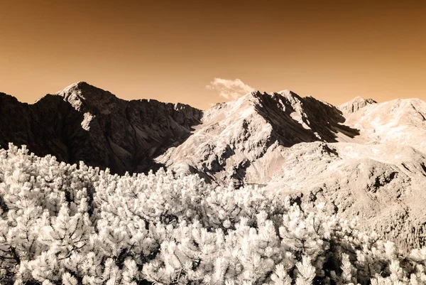 Hegyi panoráma kilátás a jelzést követve Volovecre, Szlovákia — Stock Fotó