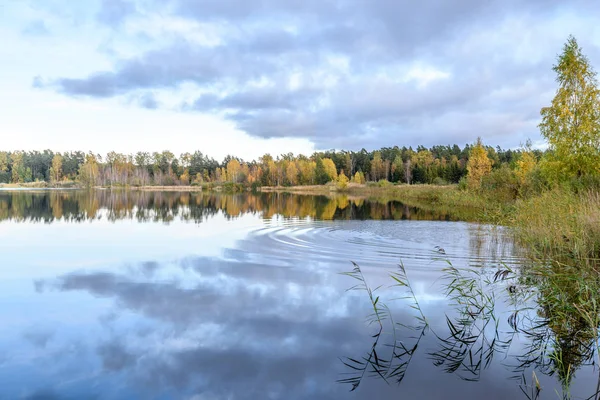 Pohon-pohon musim gugur berwarna di tepi danau dengan refleksi di wa — Stok Foto