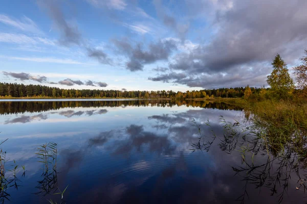 Arbres de couleur automne sur la rive du lac avec des reflets en wa — Photo