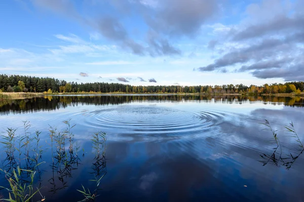 Arbres de couleur automne sur la rive du lac avec des reflets en wa — Photo