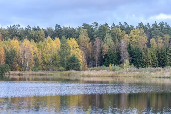 Jesienią kolorowe drzew na brzegu jeziora z odbicia w wa — Zdjęcie stockowe