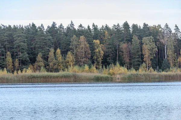 Осенние цветные деревья на берегу озера с отражениями в ва — стоковое фото